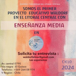 media